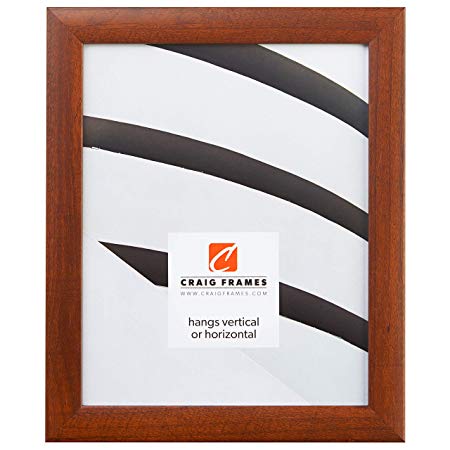 Craig Frames 23247616 20 by 30-Inch Picture Frame, Smooth Wood Grain Finish, 1-Inch Wide, Walnut Brown