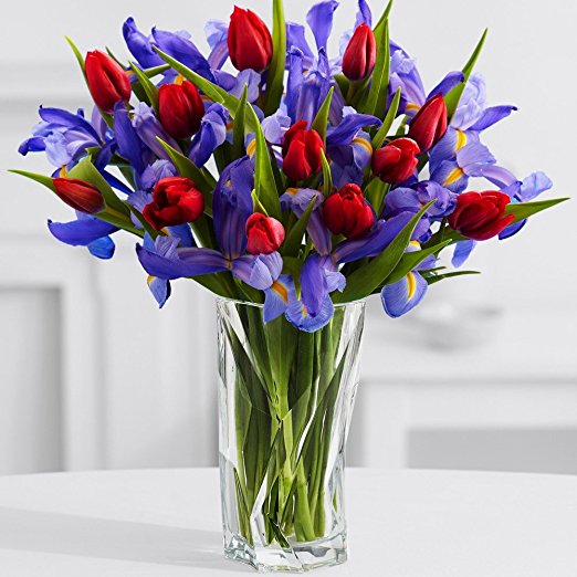 ProFlowers - 24 Count Multi-Colored A Dozen Hugs, A Dozen Kisses w/Free Clear Vase - Flowers