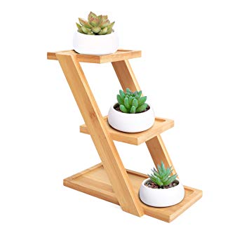 Small Succulent Plant Pot Set of 3 Ceramic Flowerpot with Bamboo Wood Tray Stand Drainage Modern Indoor Planter Cactus Container Holder for Home Office Desktop Window Decor