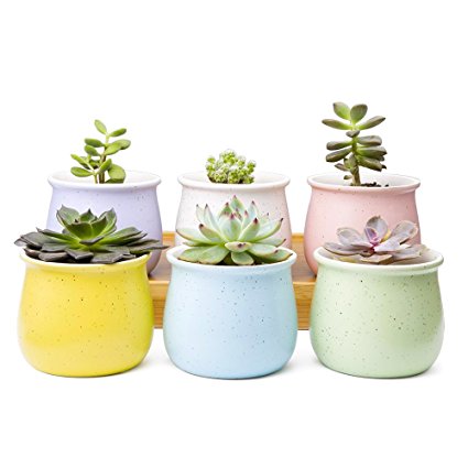 Mkono Set of 6 Ceramic Small Plant Pots 3 1/2 Inches Succulent Planters Indoor