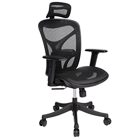 Modrine Ergonomic Office Chair,High Back Mesh Computer Task Chair with Adjustable Lumbar Support,Armrest and Headrest For Home ( BIMFA Certified ) (Black)