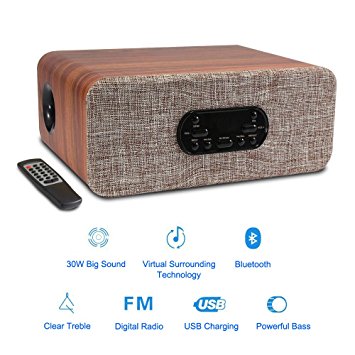 Bluetooth Bookshelf Speakers with Subwoofer TRANSPEED 30W Stereo Speaker 2.1 Channel Setup Wooden Enclosure, Wireless Home Audio Speaker with Surround Sound, Remote Control, FM Radio , USB Charging.