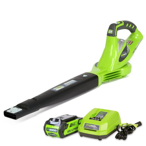 GreenWorks 24252 G-MAX 40V Li-Ion Cordless Variable Speed Sweeper-40V 2 AH Li-Ion Battery Inc