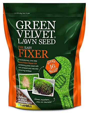 Green Velvet 1Kg Lawn Seed The Easy Fixer