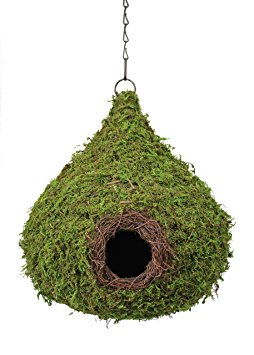 SuperMoss (56010) Raindrop Birdhouse with Chain, 10 by 13-Inch, Fresh Green