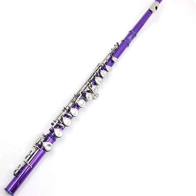 ammoon Flute Cupronickel Plated Silver 16 Holes C Key Woodwind Instrument with Cleaning Cloth Stick Gloves Mini Screwdriver Padded Case (Purple)