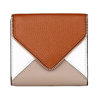 Dante Women's RFID Blocking Small Compact Bifold Leather Pocket Wallet Ladies Mini Purse with id Window