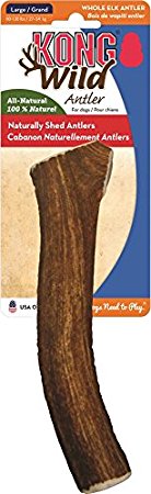 Kong Wild Whole Elk Antler Dog Bone