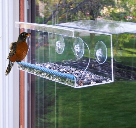 Bird Feeder - Virtually Squirrel Proof - Feeders for Unlimited Wild Birds Including Finch and Cardinal - Large Clear Easy-Fill Acrylic - See Through Panoramic Window Feeder By Simplicity Designs