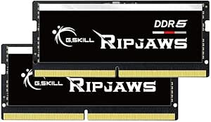 G.SKILL Ripjaws DDR5 SO-DIMM Series DDR5 RAM 32GB (2x16GB) 4800MT/s CL40-39-39-76 1.10V Unbuffered Non-ECC Notebook/Laptop Memory SODIMM (F5-4800S4039A16GA2-RS)