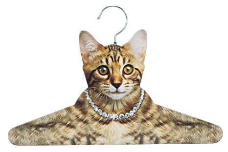 Cat Hanger Closet Organizer for Cat Lovers Photo-Realistic Kitten Clothes Hanger