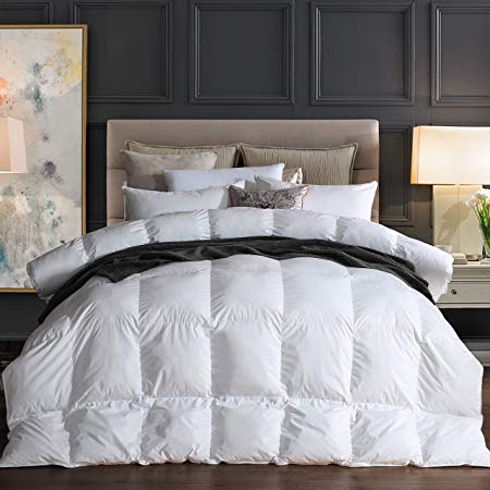 Goose Down Comforter 100% Egyptian Cotton 750+ Fill Power Insert Queen Comforter 1200 Thread Count Baffle Box Stitched Down Proof Duvet Comforter with Corner Tabs for All Seasons, White 90x90Inches