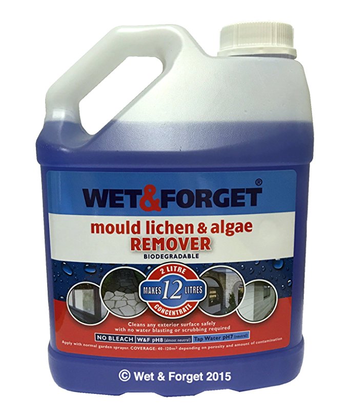 Wet and Forget 2 Litre Mould, Lichen and Algae Remover