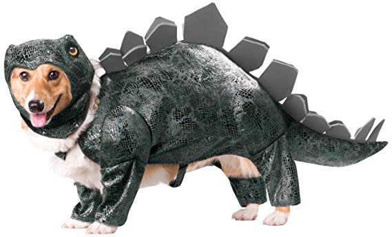 Animal Planet PET20105 Stegosaurus Dog Costume