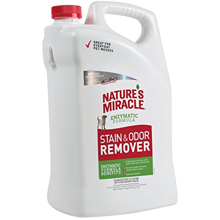 Nature's Miracle Stain and Odor Remover