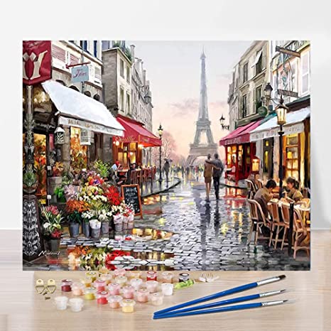 DIY Paint by Numbersfor Adults,Painting by Number on Canvas with Paintbrushes and Acrylic Pigment, Arts Craft for Home Wall Decorand and Good Gifts,16" W x 20" L (no Frame)