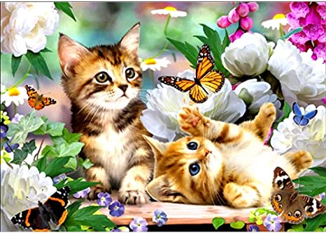 nuoshen DIY 5D Diamond Painting Full Kits, Cat Flutters Butterfly Crystal Rhinestone Embroidery Pictures Arts Craft Gift Included for Home Wall Decor Living Room(40x30cm)