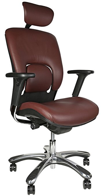GM Seating Ergolux Genuine Leather Executive Hi Swivel Chair Chrome Base with Headrest, (Burgundy)