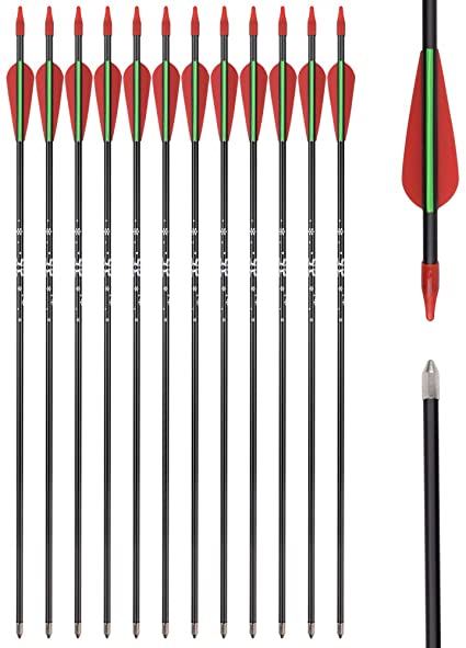 Archery Recurve Bow Arrows Fiberglass Arrow 24/26/28 Inch Hunting Shooting Practice Target for Beginners Kids Youth Sport Outdoor(Pack of 12)