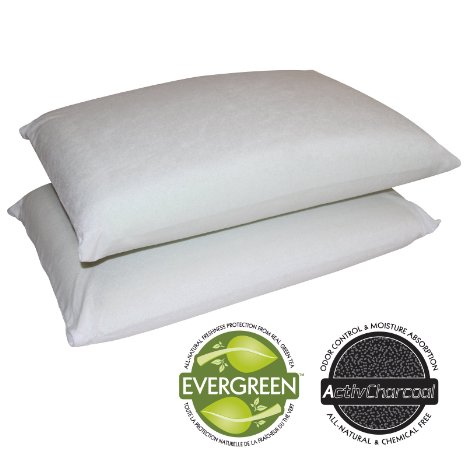 Sleep Master Memory Foam Traditional Pillows- set of 2, Standard