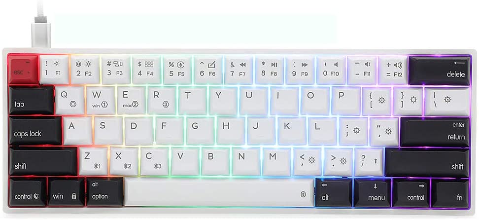 EPOMAKER SKYLOONG AK61 61 Keys Hot Swappable Programmable Mechanical Keyboard with RGB Backlit, PBT Keycaps, NKRO, IP6X Waterproof, Custom Layout for Mac/Win (Gateron Optical Brown, PBT Black White)