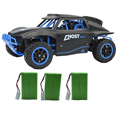 Blomiky D181 High Speed Racing RC Trucks Remote Control Cars 1/18 Scale 4WD Toy Vehicle 15.5MPH  Off Road Monster Electric Race Buggy Extra 2 Battery D181 Blue