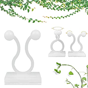 Rushly Plant Climbing Wall Fixture Clips Invisible Wall Vines Fixture Wall Sticky Hook Vines, Plant Fixer Self-Adhesive Hook Plant Vine Traction, Vines Fixing Clip Vines Holder for Home Decoration.