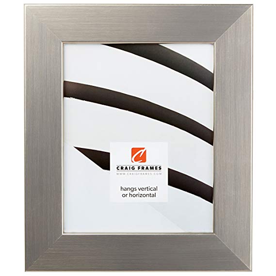 Craig Frames 74966 24 by 36-Inch Picture Frame, Smooth Wrap Finish, 2-Inch Wide, Silver Stainless