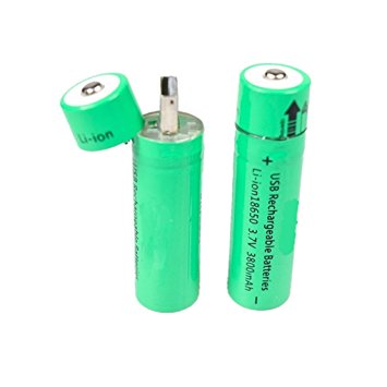 Integrated USB Rechargeable 3800mAh 3.7V Lithium Ion 18650 Battery(2 Pack) with Charger