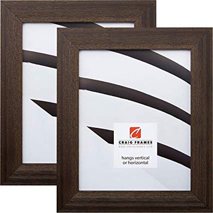 Craig Frames 15DRIFTWOODBK 18 x 24 Inch Picture Frame, Black, Set of 2