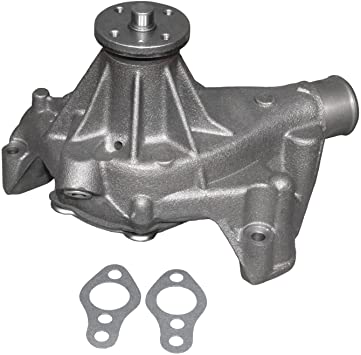 ACDelco 252-719 Professional Water Pump Kit