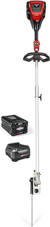 Snapper XD 82V Electric Cordless Pole Saw Kit with 2.0 Battery & Rapid Charger, 1687916, SXD82ZPSK (Renewed)