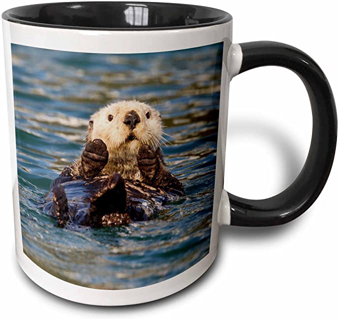 3dRose Sea Otter, Prince William Sound, Alaska, USA Mug, 11 oz, Black