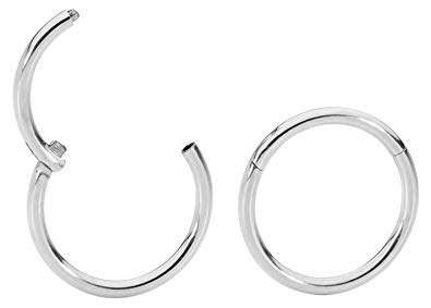 365 Sleepers 1 Pair Stainless Steel 16G (Regular) Hinged Segment Ring Hoop Sleeper Earrings 6mm / 7mm / 8mm / 9mm / 10mm / 11mm / 12mm / 13mm / 14mm / 16mm