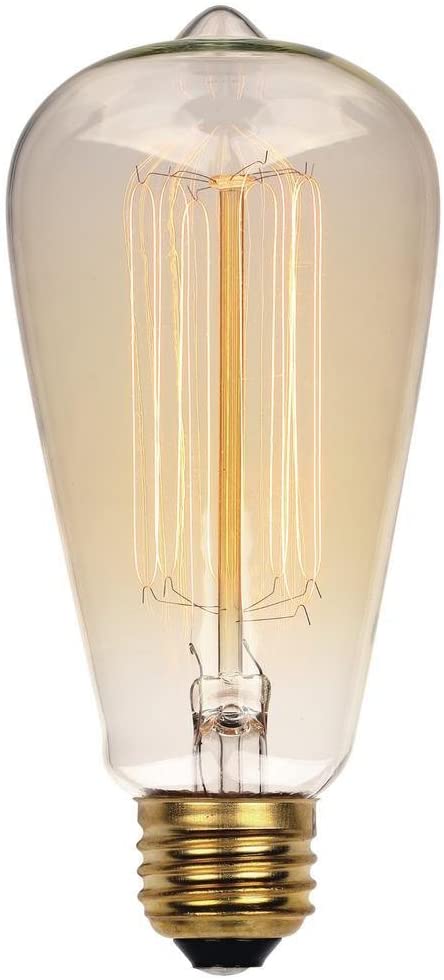 Westinghouse Lighting 0413200 60 Watt ST20 Clear Timeless Vintage Inspired Bulb with Medium Base