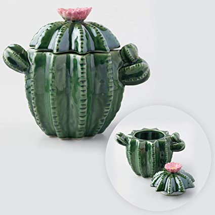 World Market Ceramic Cactus Cookie Jar with Airtight Lid - Decorative Kitchen Food Storage Holder - Large Unique Green Container for Cookies, Biscuit, Candy, Snack, Sweets and Baked Treats