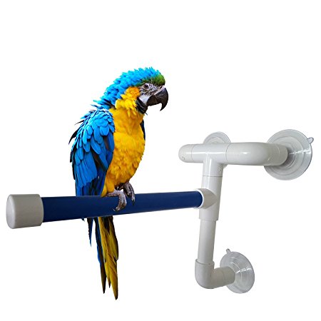 Suction up Bird Window Stand for Shower, Parrot Bath Perch Fold Away Wall Rack Platform for Medium to Large Birds