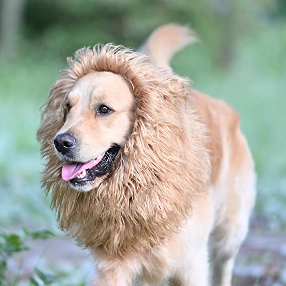 Onmygogo Lion Mane Wig for Dogs with Ears, Funny Pet Costumes for Halloween Christmas
