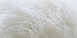 Bulk Buy: Bernat Faux Fur Pom Pom (3-Pack) White Rabbit 167001-1005