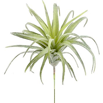 Supla 2 Pcs Artificial Succulent Plants Air Plants Dessert Plants Tillandsia in Light Green with Gray Tones 5.5" Wide x 7" Tall