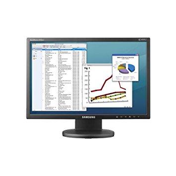 Samsung 2443BWT-1 24-Inch LCD Monitor (Black)