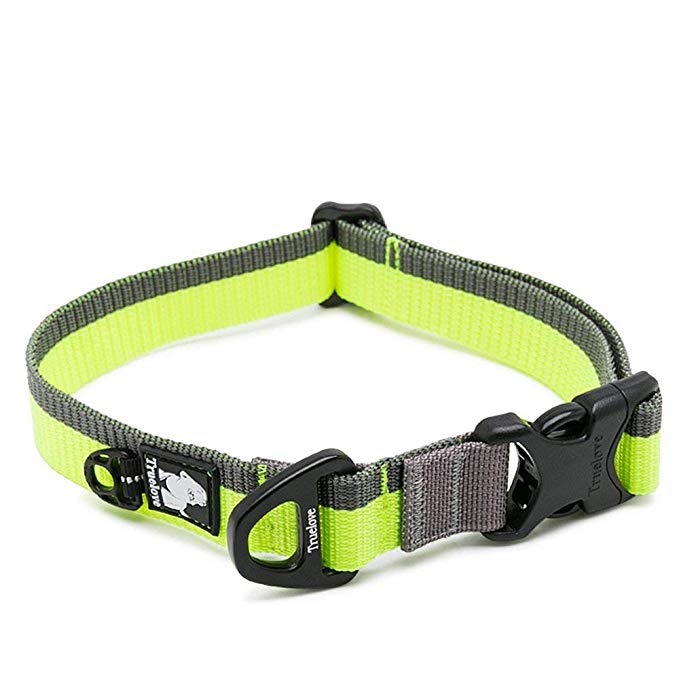 Clumsypets Dog Collar with D-Ring and Buckle Nylon Webbing Adjustable Martingale Collar for Small Medium Large Dogs,Basic Pet Collar Perfect Match with Leash and Harness