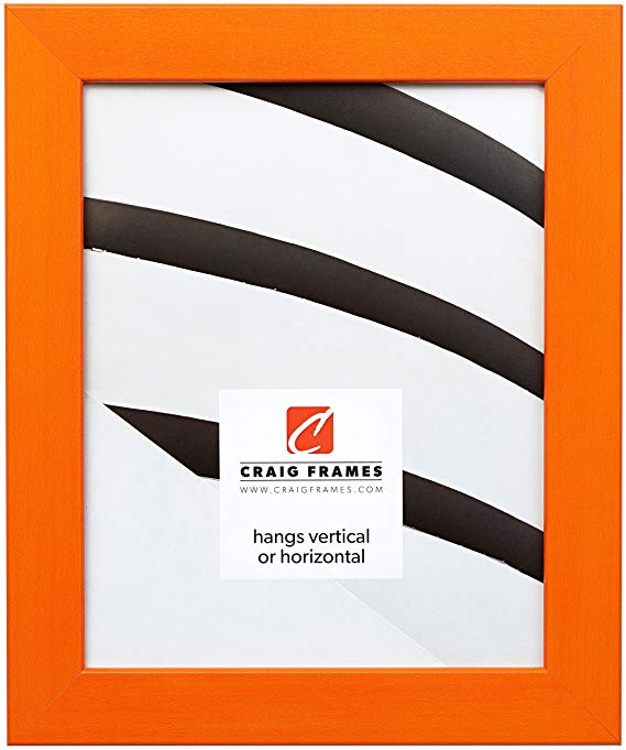 Craig Frames 26028 18 by 24-Inch Picture Frame, Smooth Wrap Finish, 1.26-Inch Wide, Orange