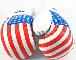 1 Pair USA Flag 20oz Boxing Punching Gloves