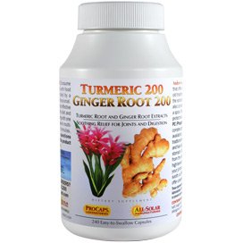 Turmeric 200 Ginger Root 200 120 Capsules