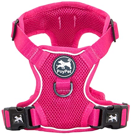 PoyPet Reflective Soft Breathable Mesh Dog Harness Choke-Free Double Padded Vest with Adjustable Neck and Chest