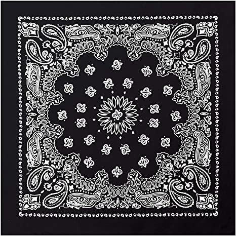 Rothco Trainmen Paisley Bandana - 22" X 22"