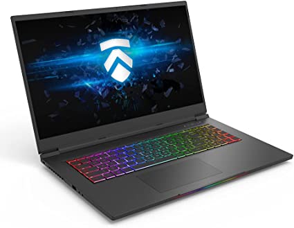 Eluktronics MAX 17 (2022) 17.3" Gaming Laptop: Intel Core i9-12900H, NVIDIA RTX 3080 Ti, Thunderbolt 4, 1TB PCIe Gen 4 SSD, 32GB DDR5 RAM, Windows 11 Home, 17.3 inch QHD 240Hz Ultra Light Notebook