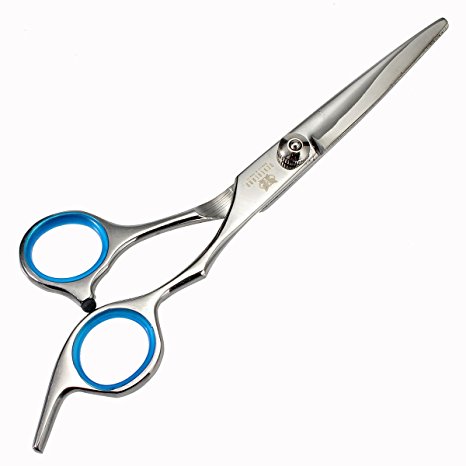 Neverland Professional 6" Salon Cutting Hairdressing Scissors Hair Shears Hairdressing Equipment Tool Blue