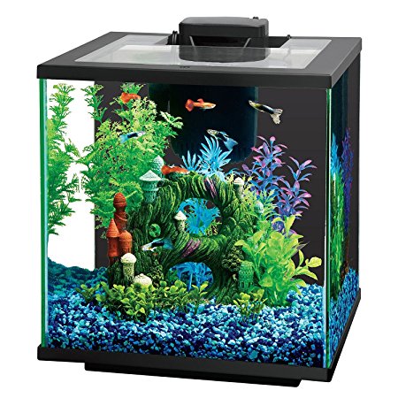 Central Aquatics Island 7.5-Gallon Glass Aquarium Kit with LED Light, 50W Heater and Filter